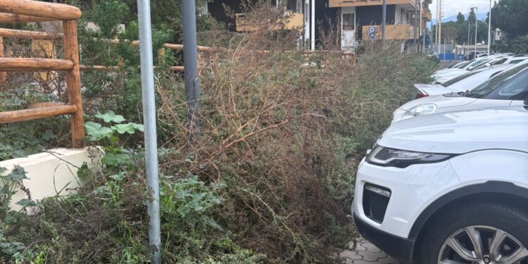 Cagliari, degrado e rischio sicurezza tra via Sarpi e via Cattaneo: “Segnalazioni ignorate, il Comune parla di mancanza di fondi”