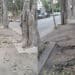 Cagliari, i cittadini si mobilitano per le modifiche a viale Merello: raccolte 500 firme in pochi giorni