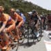 Donori, troppe gare ciclistiche e i residenti protestano: “Strade comunali, rurali e provinciali spesso chiuse, costretti a percorsi alternativi”