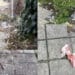 Cagliari, degrado e disagio in via Piovella e via Serpieri: tra siringhe usate e sporcizia spuntano anche assorbenti