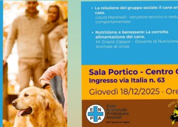 “Il cane: dal canile a casa”. Appuntamento con gli esperti a Cagliari