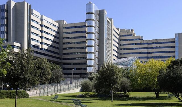 Da Cagliari agli Stati Uniti e ritorno: addio alle trasfusioni, rivoluzione per i talassemici in Sardegna