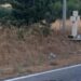 Troppi incidenti (spesso mortali) nel Cagliaritano: strade piene di buche e disattenzioni, ora scatta l’allarme rosso