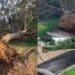 Emergenza maltempo a Castiadas, forti raffiche di vento buttano giù alberi e pali
