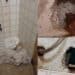 Cagliari, 78enne diabetica vive senza acqua in casa
