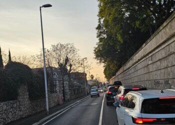 Cagliari, albero pericolante e strada chiusa: scoppia il caos in via Don Giussani
