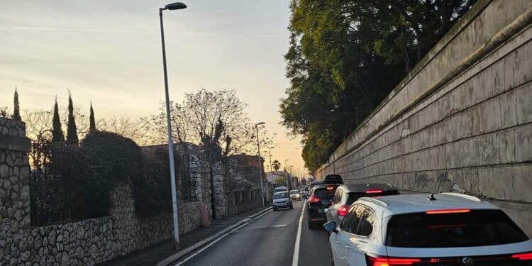 Cagliari, albero pericolante e strada chiusa: scoppia il caos in via Don Giussani