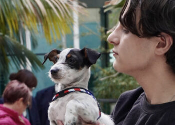 Inaugurata la Pet Area all’Aeroporto di Cagliari: coccole e servizi per gli amici a 4 zampe