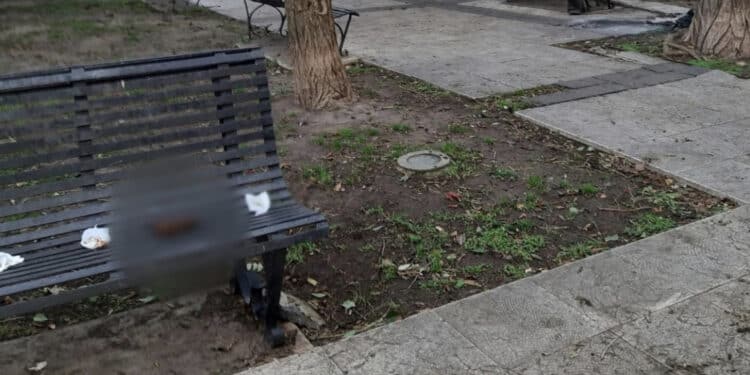 Cagliari, panchine pubbliche scambiate per wc: la signora con il vestito bianco costretta a sedersi fra gli escrementi