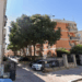 Cagliari, alberi di 20 metri e muro pericolante in via Baronia: “Da due anni allarme ignorato, con Harry situazione precipitata”