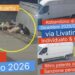 Quartu Sant’Elena, scarica rifiuti in via Livatino: sanzione penale e patente ritirata