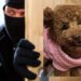 Selargius, la cagnolina dell’assessore  mette in fuga i ladri: “Cosa deve succedere perché la sicurezza delle persone venga presa sul serio?”