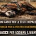 Il cavallo morto alla Sartiglia accende il dibattito nazionale, Rizzi: “Le vostre tradizioni continuano a uccidere”