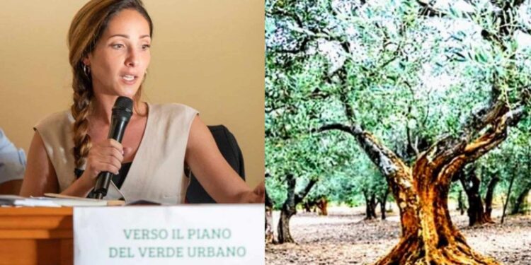 Sestu, aree urbane riqualificate con nuovi alberi e piante: la città premiata a livello nazionale