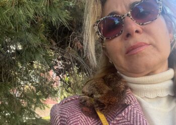 Via Milano, albero pericolante sul marciapiede: il caso finisce in consiglio comunale