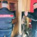 Operazione antidroga a Iglesias, sequestrati ingenti quantitativi di stupefacenti e denaro: 2 arresti