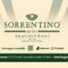 Fioricolture Sorrentino: San Valentino è il giorno in cui i sentimenti prendono forma, colore e profumo
