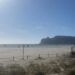 Cagliari, lo spettacolo al Poetto: “Guardate, è tornata la nostra sabbia bianchissima e bellissima”