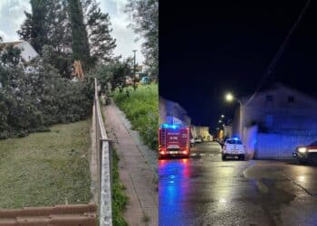 Samassi, crolla un grosso albero nel cortile dell’asilo: enormi danni per il maltempo