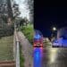 Samassi, crolla un grosso albero nel cortile dell’asilo: enormi danni per il maltempo