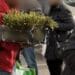 Ambulanti abusivi al mercatino rionale di Quartu, i venditori di asparagi dividono il web