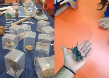 Medio Campidano, la spiaggia entra in aula per una lezione di educazione ambientale