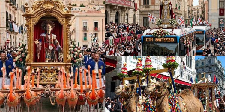 Sant’Efisio senza buoi, impazza l’ironia sui social: dai famosi cammelli di Ovodda ai fenicotteri rosa che trainano il cocchio