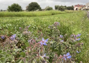 Guspini guida l’Europa del benessere: salute, impresa e turismo nel Terzo Paesaggio