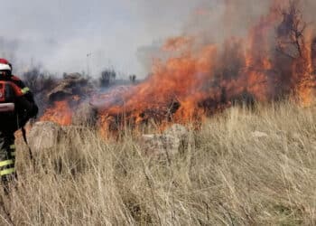 Flotta Canadair, la Laconi scrive al Ministro dell’Interno: “Garantire la copertura aerea della Sardegna”