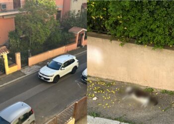 Pirri, corse sfrenate in via del Tricolore metteno in pericolo i residenti: “Un bambino ha rischiato di essere investito”