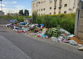 Disastro Cagliari, cumuli di rifiuti in via del Lentisco a Pirri
