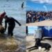 Staccionate, funi da pesca, un albero di Natale e un cestello di lavatrice: in mare a Quartu una discarica di rifiuti
