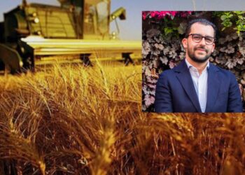 Biologico, filiere e giovani: Serramanna al centro del BioFestival 2026