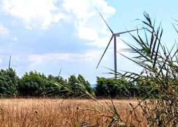 Villanovaforru, rifiuta 15 mila euro all’anno e dice no alle pale eoliche