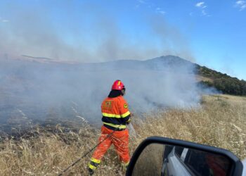 Campi di grano in fiamme a Settimo San Pietro: diversi ettari andati in fumo