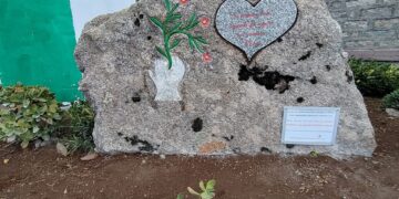 Sardegna, l’ultimo gesto di due donne di 89 e 83 anni: donati gli organi