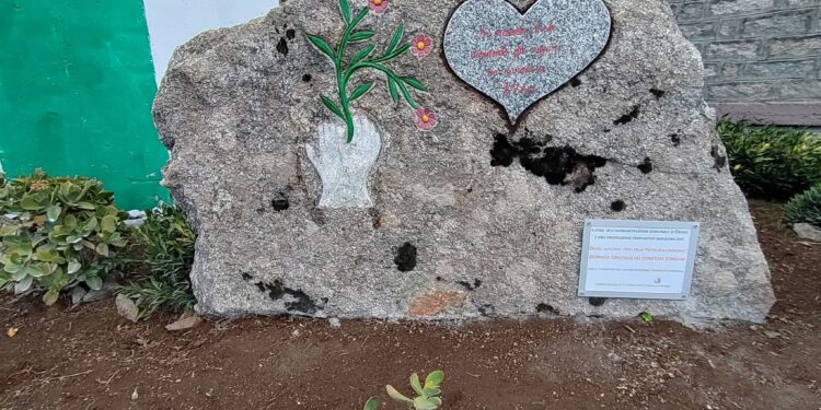 Sardegna, l’ultimo gesto di due donne di 89 e 83 anni: donati gli organi