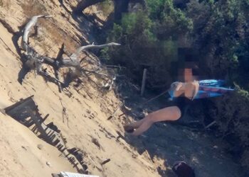 Inciviltà a Chia, ginepri secolari scambiati per ombrelloni: teli e attrezzature legati alle piante