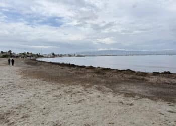 Poetto, l’esperto chiede al Comune di non rimuovere la Posidonia: “È la difesa naturale contro l’erosione”