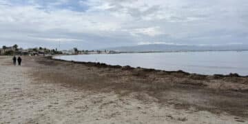 Poetto, l’esperto chiede al Comune di non rimuovere la Posidonia: “È la difesa naturale contro l’erosione”