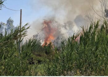Quartucciu, incendio all’Orto Giardino Mariposa de Cardu: “Individui senza dignità” (VIDEO)