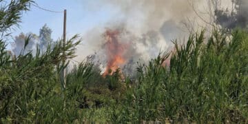 Quartucciu, incendio all’Orto Giardino Mariposa de Cardu: “Individui senza dignità” (VIDEO)