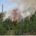 Quartucciu, incendio all’Orto Giardino Mariposa de Cardu: “Individui senza dignità” (VIDEO)
