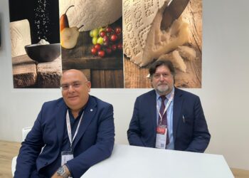 Pecorino Romano, tre borse di studio per formare i manager della filiera: il Consorzio investe oltre 70mila euro sui giovani