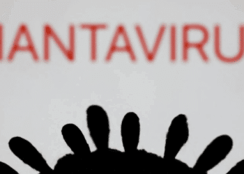 Hantavirus: 4 passeggeri passati da Roma sono sotto osservazione