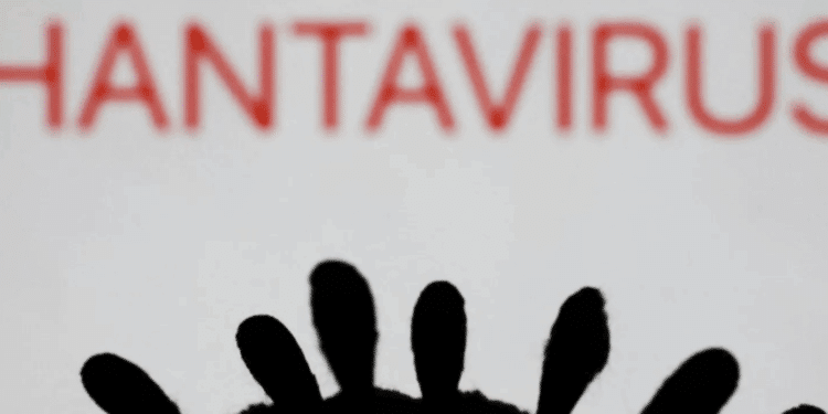 Hantavirus: 4 passeggeri passati da Roma sono sotto osservazione