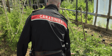 Maxi operazione antidroga sul territorio nazionale, arrestato anche un giovane del Cagliaritano