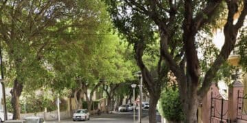 Cagliari, “No alla riqualificazione di Viale Merello”: parte il ricorso