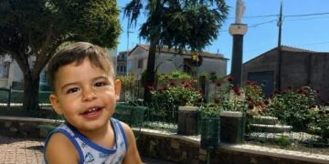 La Sardegna sotto choc piange il piccolo Lorenzo: correva incontro al papà in trattore per giocare con lui