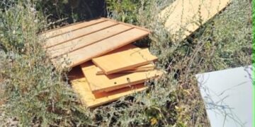 Calamosca trasformata in discarica: “Degrado inaccettabile, il Comune deve intervenire subito”